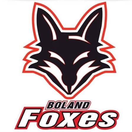 Boland Foxes indoor hockey official logo
