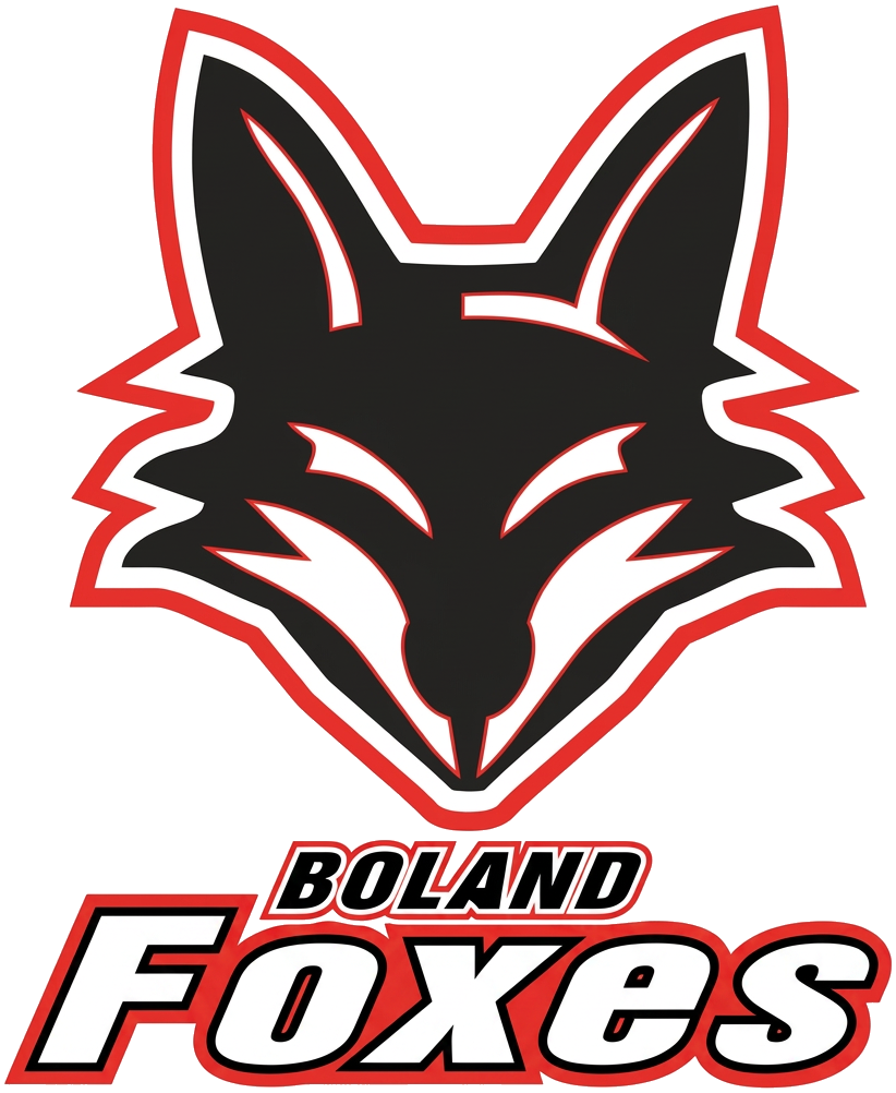 Boland Foxes indoor hockey — Grey team